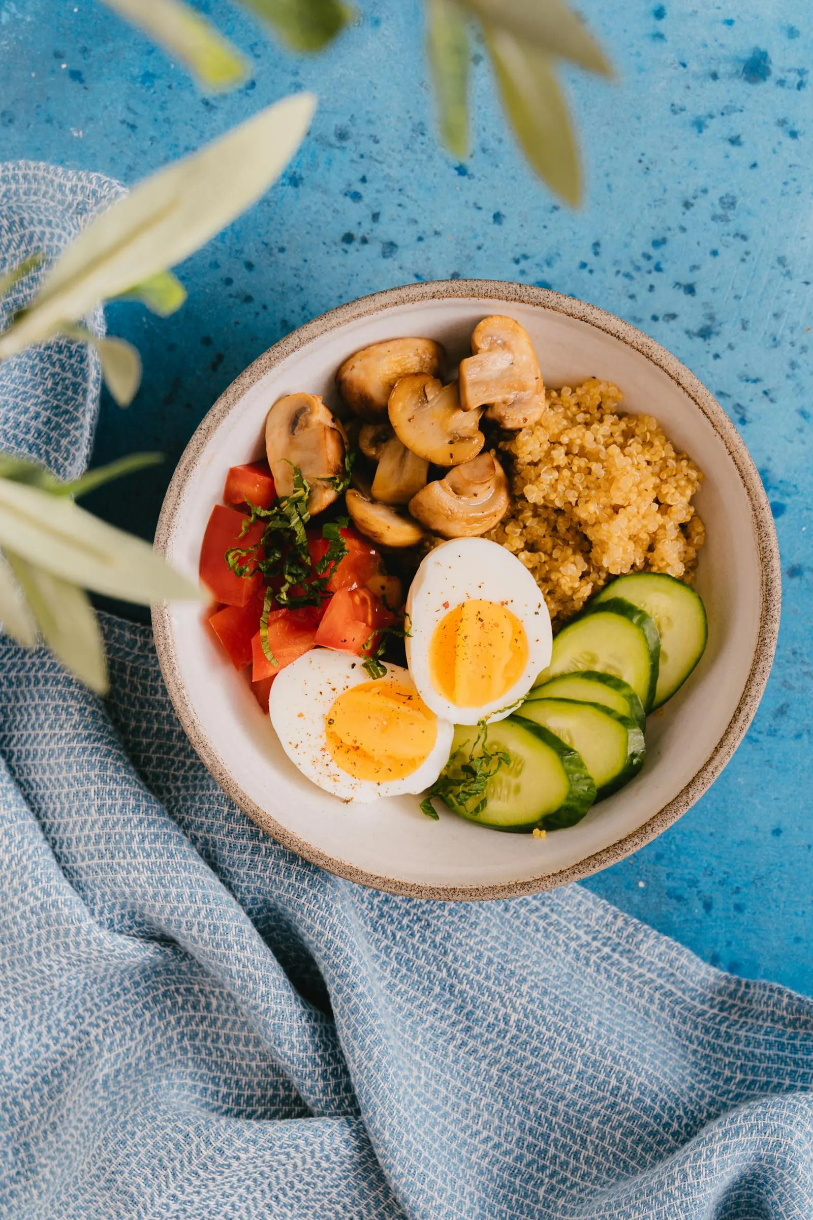 Anti-Inflammatory Meal Plan for Beginners